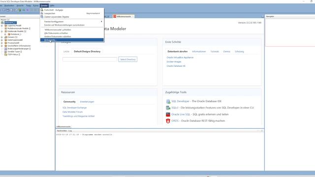 Oracle Data Modeler change user interface language смотреть онлайн