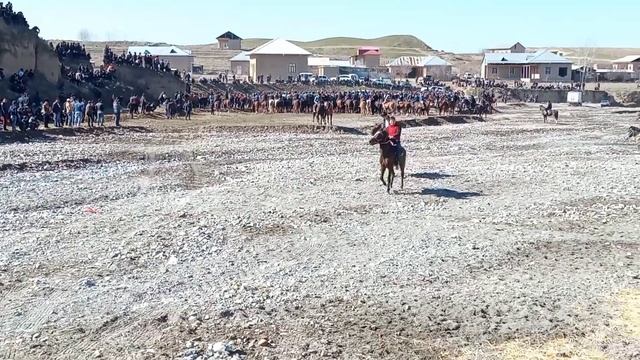 SAMARQAND URGUT JAGʻIZMON  KOʻPKARISI.21.02.2023.YIL