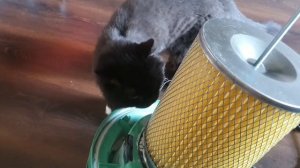 Замена фильтра пылесоса Hitachi WDE 1200. Альтернативное решение.