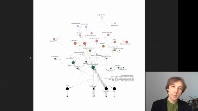 Food web visualisation: heatmap, interactive graph and animated flow network смотреть онлайн