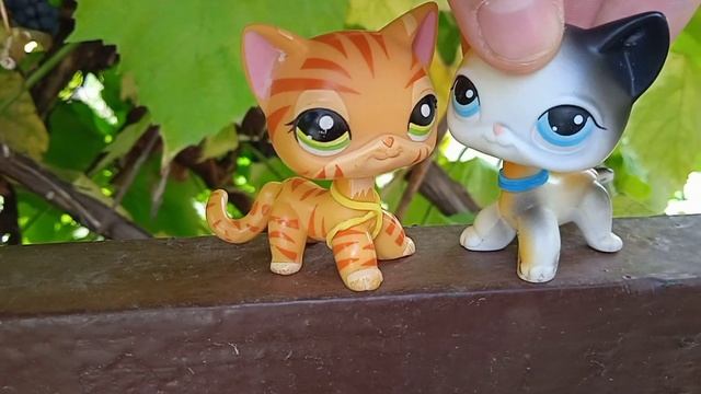 Клип не потеряй смотреть онлайн