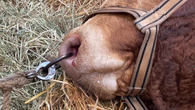 Пограничное состояние смотреть онлайн