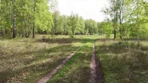 MotoDays  #1 Заехал в лес| Чьи-то голоса!?