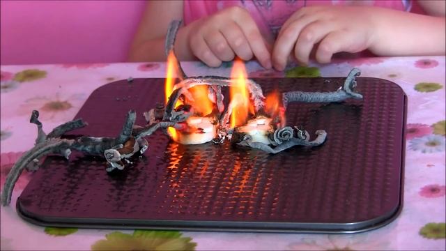 ? ФАРАОНОВА ЗМЕЯ научный эксперимент для детей experience for children snakes смотреть онлайн