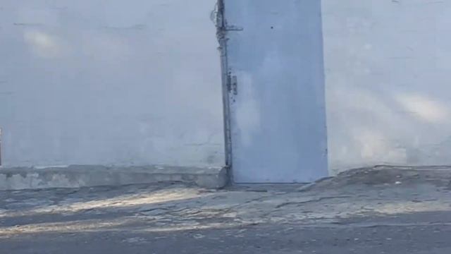 Ишаки или ослы на станции Гардабани смотреть онлайн