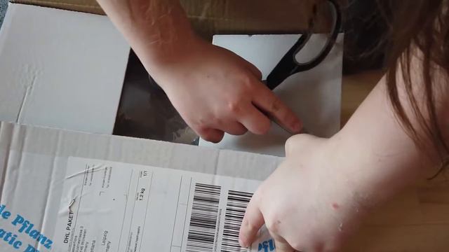 Распаковка посылок. Растения и удобрения для аквариума. смотреть онлайн