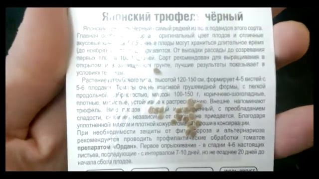 Томат Японский трюфель Черный, 20 семян смотреть онлайн
