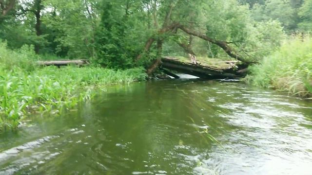 Solo kayaking Dubna-Daugava (Part 2) смотреть онлайн