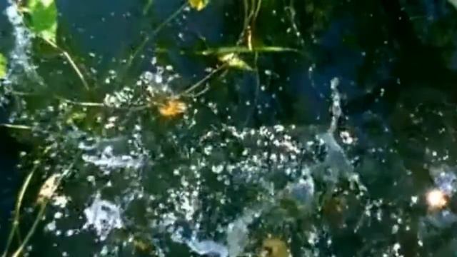 С ДНЁМ РОЖДЕНИЯ - на заказ смотреть онлайн