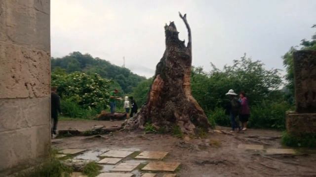 Наш Тур по Армении - Часть 3 - Агарцин (Հաղարծին) - попали в жуткий туман смотреть онлайн