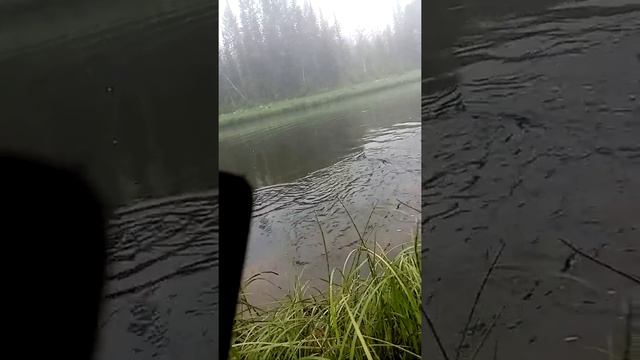 Верховье Илима смотреть онлайн