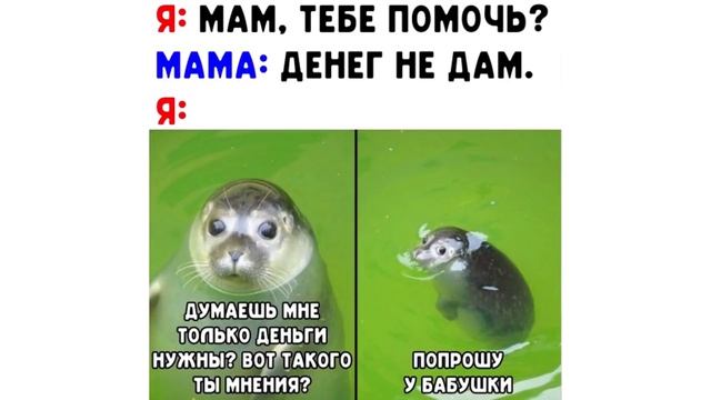 Мемы это ЖИЗА смотреть онлайн