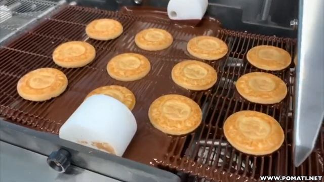 Pomati FLIPPING и TOPPING System для Т20 и Т35 смотреть онлайн
