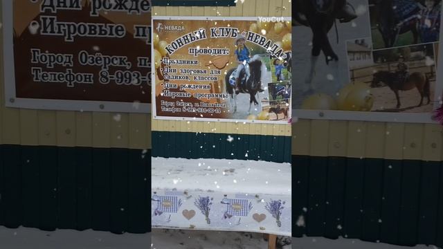 конный клуб НЕВАДА, Озерск смотреть онлайн