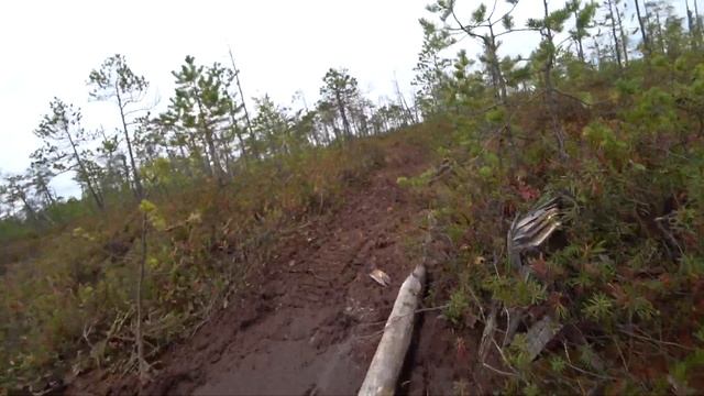 БЕСКРАЙНЕЕ БОЛОТО НАШ ДОМ смотреть онлайн