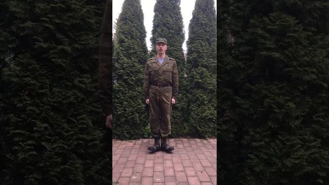 Занятие «Строевая подготовка. Повороты на месте» смотреть онлайн