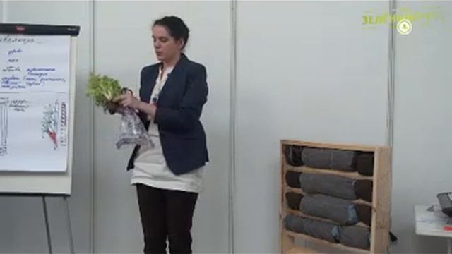 Мастер класс по созданию вертикального сада 14 05 2014 смотреть онлайн