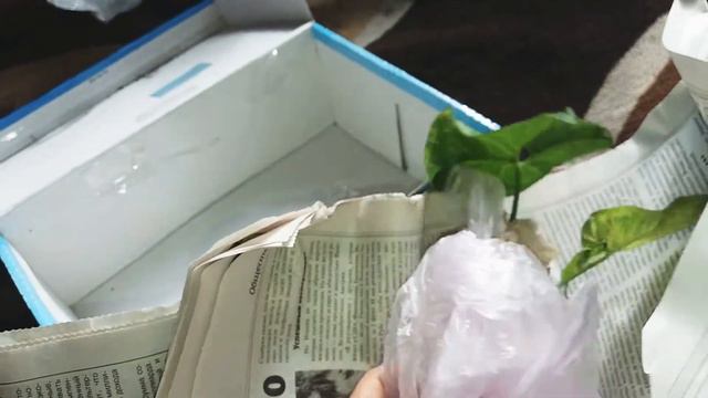 Новые малыши смотреть онлайн