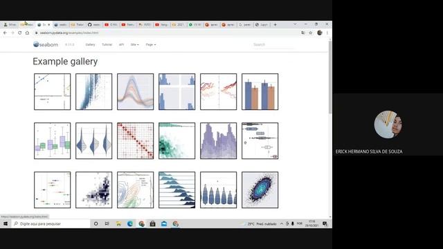 SEABORN - Gráficos em Layouts bonitos смотреть онлайн