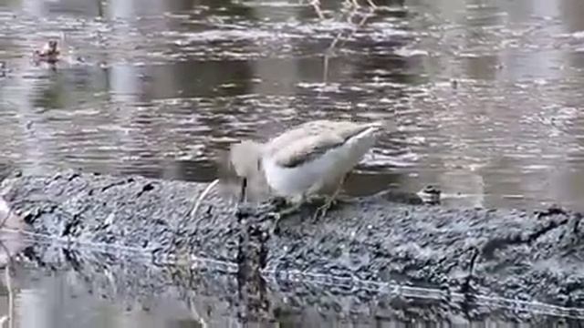 Мородунка смотреть онлайн