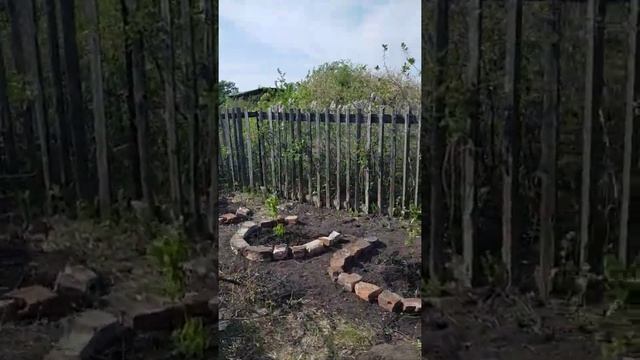 наша дача 23 мая выкапываем корни вишни. продолжаем чистить участок смотреть онлайн