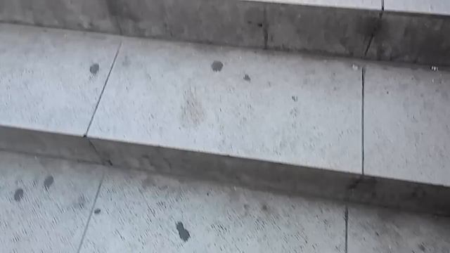 Мост который играет в Тбилиси. смотреть онлайн