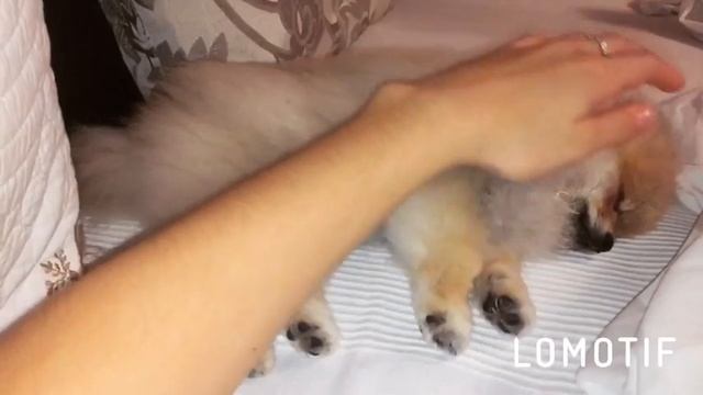 Сладких снов)))