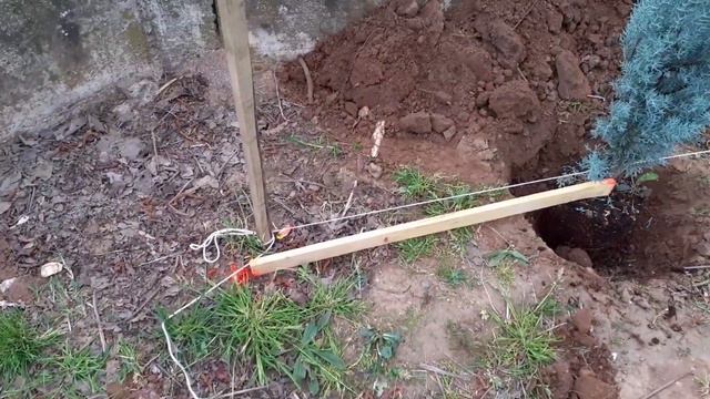 plantation d'une haie en limite de propriété смотреть онлайн