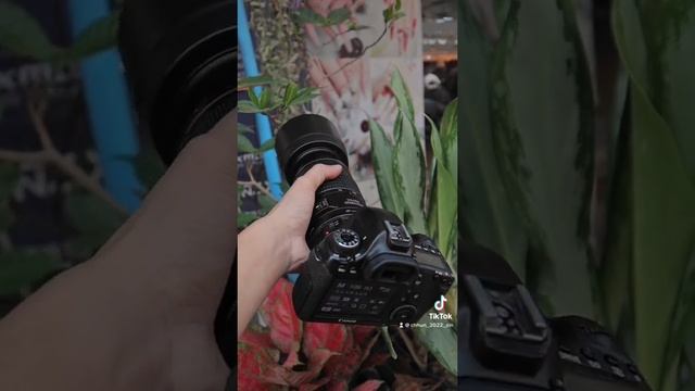 CANON EOS 6D KIT 70-300MM смотреть онлайн