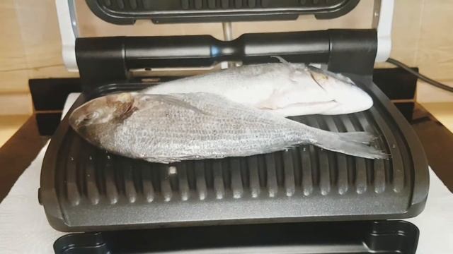 Вкусные рецепты рыбы