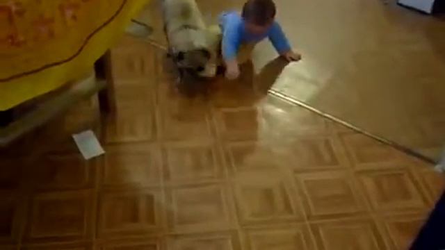 Щенок или ребенок & кто победит смотреть онлайн