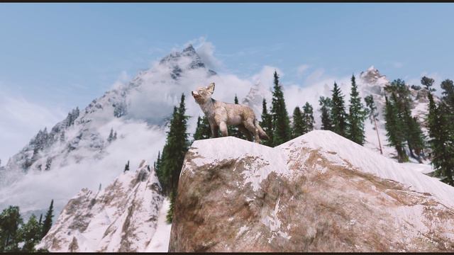 Skyrim SE Mod // Fluffworks - Better Photoreal Foxes смотреть онлайн