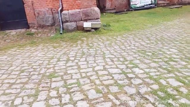 Интересные места Калининграда, что посмотреть видео смотреть онлайн