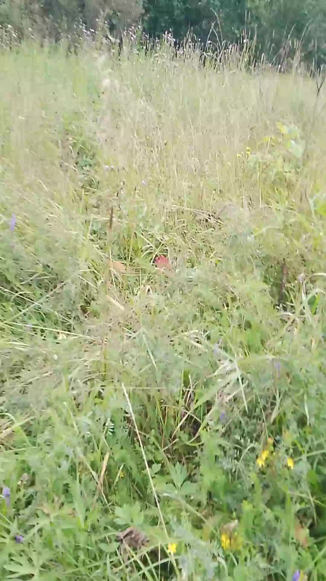 мы где-то 20 км от дома не знаем, что это за прямой эфир. смотреть онлайн