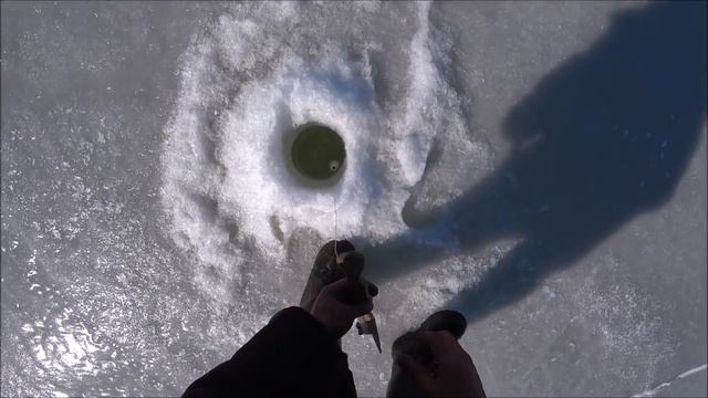 Колокольчик не звенит,а рыба ловиться! смотреть онлайн