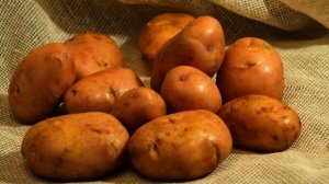 Сорта Картофеля Фото И Описание