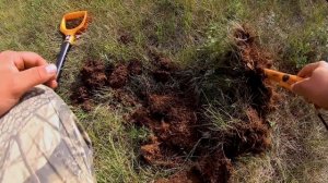 Экспедиция и Коп в Сибири-Поиск кладов и монет,металлоискателем!-Находки в горах.