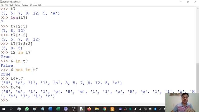 12 CS 01 Python Revision Tour 06 смотреть онлайн
