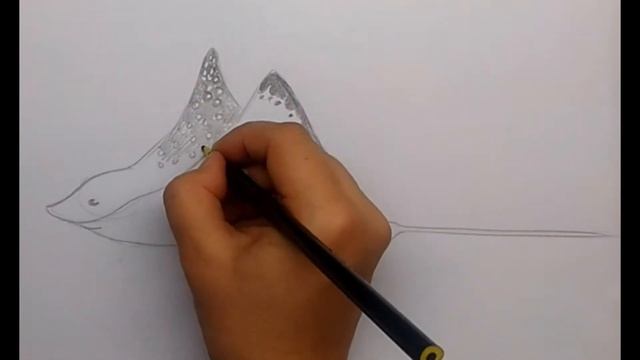 Как нарисовать ската смотреть онлайн