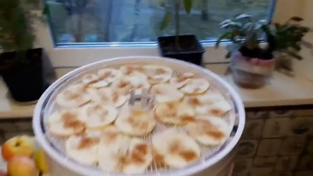 ПОЛЕЗНЫЕ ЯБЛОЧНЫЕ ЧИПСЫ. ЧИПСЫ на СУШИЛКЕ EZIDRI ТопСад. topSad смотреть онлайн
