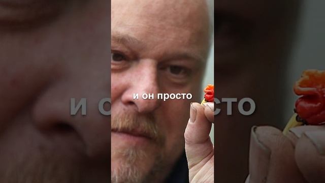 Самый острый перец чили в Мире смотреть онлайн