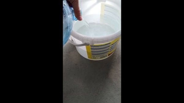 Разведение креветки Амано (caridina multidentata), часть 1