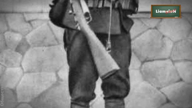 Обществознание 9 класс (Урок№3 - Политический режим.) смотреть онлайн