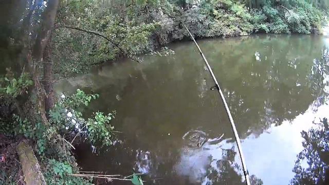 pêche de la perche vidéo 2 смотреть онлайн