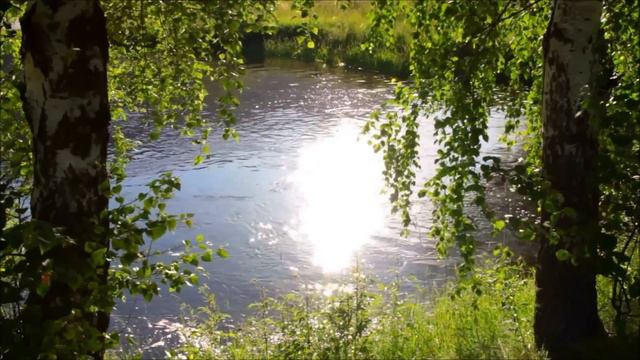 "Самодовольство". 15 июля. День за днем в Ал-анон. Ежедневник для созависимых. смотреть онлайн