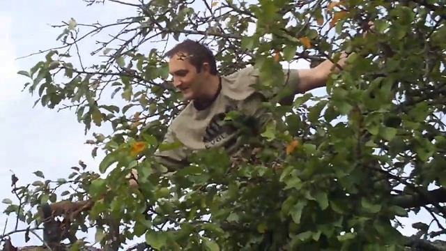как правильно рубить сук! смотреть онлайн