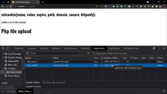 Php Cookies in Bangla | PHP Tutorial For Beginners | (part 25). смотреть онлайн