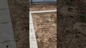 Грядки из бетонных блоков. Хронология 18 мая 2022.