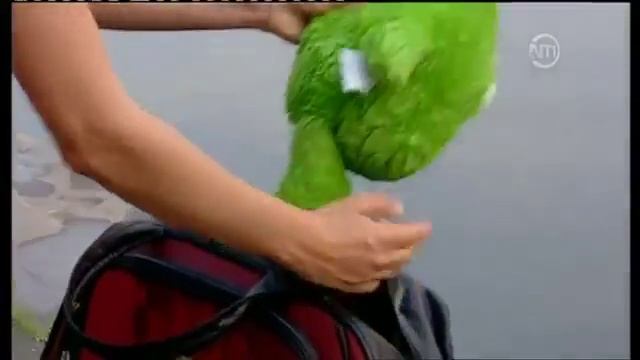 Best Of Just For Laughs  улётные приколы скрытой камерой