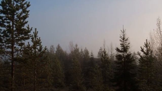 Autumn Dream / Вячеслав Дулёв (Джойс - Шендерёв "Осенний сон") смотреть онлайн